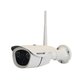 HW0042 Wireless IP Surveillance Camera (960p, 1.3 MP)